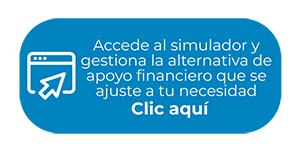simulador
