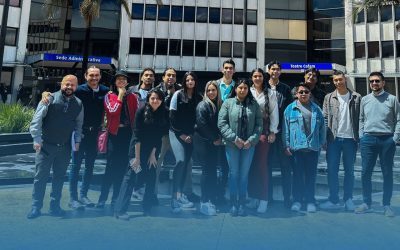¡Vuelve el delfín! Realiza una estancia de investigación nacional o internacional