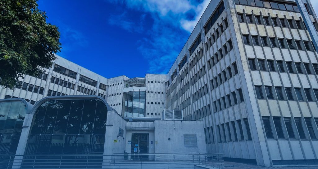 Tres proyectos, un mismo propósito: investigar para transformar Tres proyectos, un mismo propósito: investigar para transformar