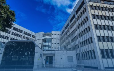 Tres proyectos, un mismo propósito: investigar para transformar